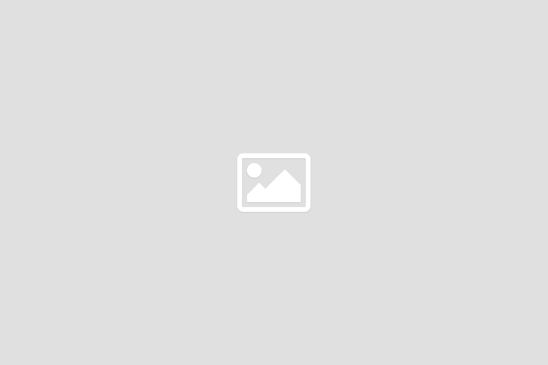 orionthemes-placeholder-image-1